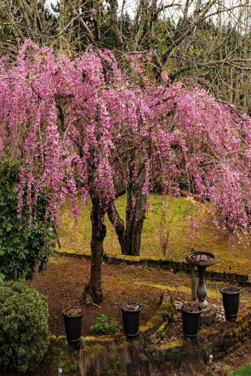 Аға мен әпке арасындағы нәзік секс HD видео